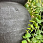 BLACK ROUND POT