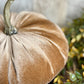 10" Beige Velvet Pumpkin