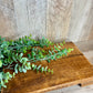MANGO WOOD PEDESTAL