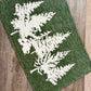 Evergreen Tree