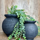 BLACK ROUND POT