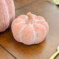 Orange Terracotta Pumpkin