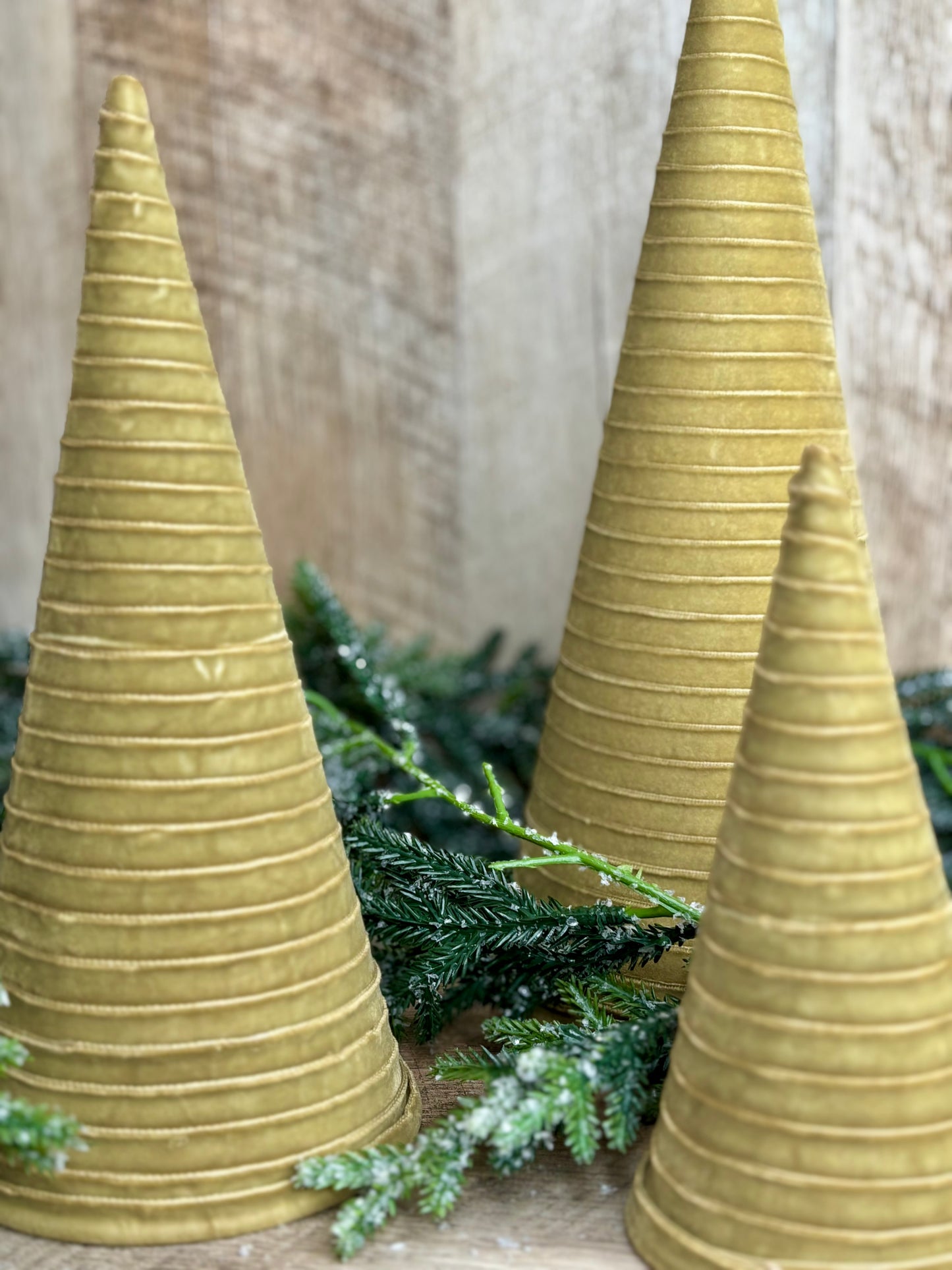 S/3 GOLD VELVET CONE TREES