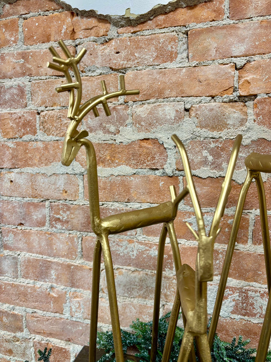GOLD IRON DEER