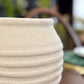 White Line Vase
