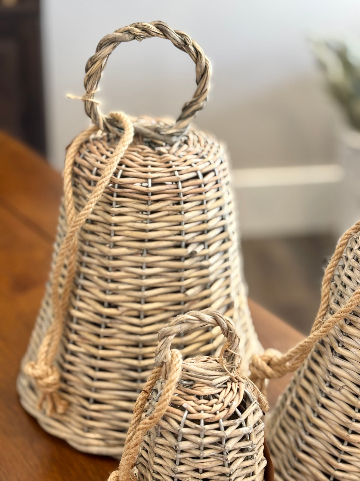 S/3 Willow Bells