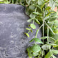 BLACK ROUND VASE