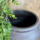 BLK LINE PLANTER
