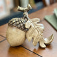 Acorn Bunch