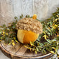 Velvet Acorn