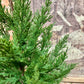 Real Touch Cedar Tree