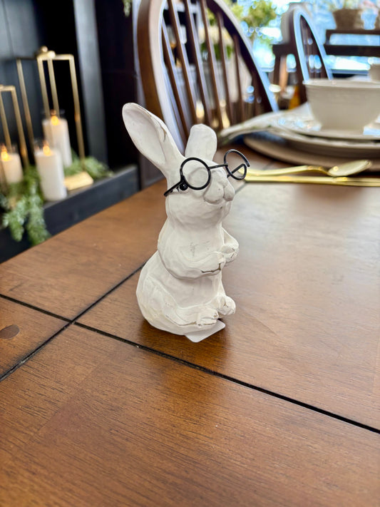 Bunnies with Glasses