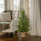 Cedar Tree