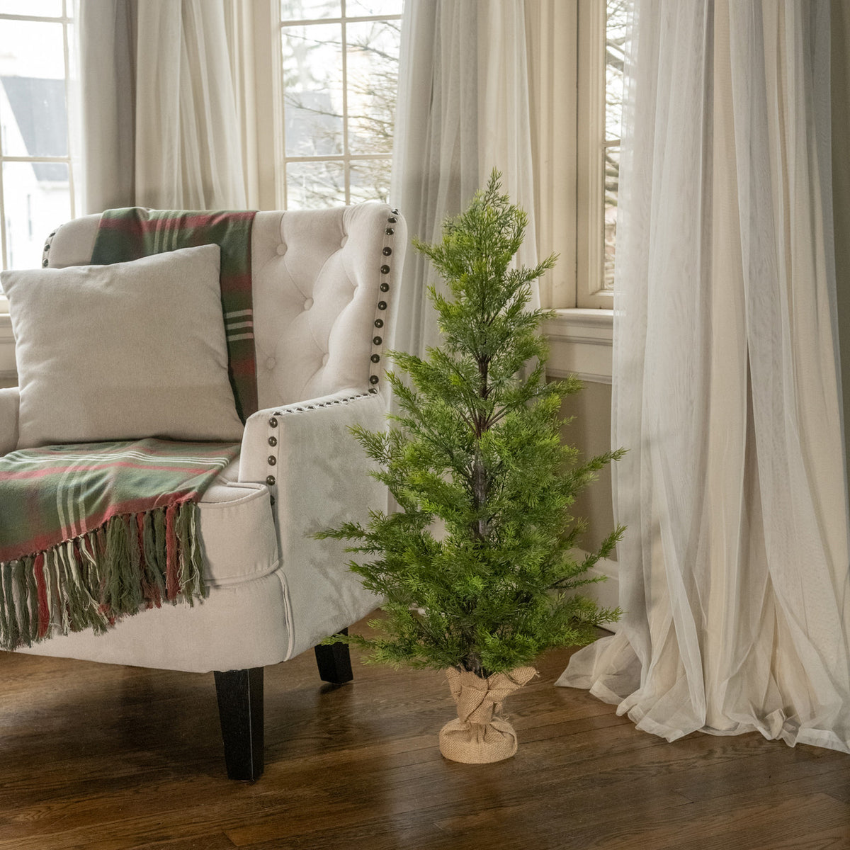 Cedar Tree