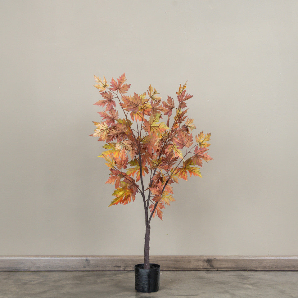 Maple Leaf Tree