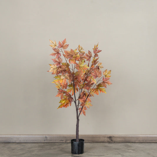 Maple Leaf Tree