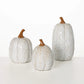 Cream Pumpkin