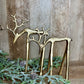 SET/2 GOLD LOOK DOWN REINDEER
