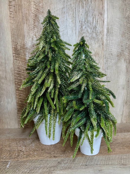 17" GOLD DUSTED TREE IN POT