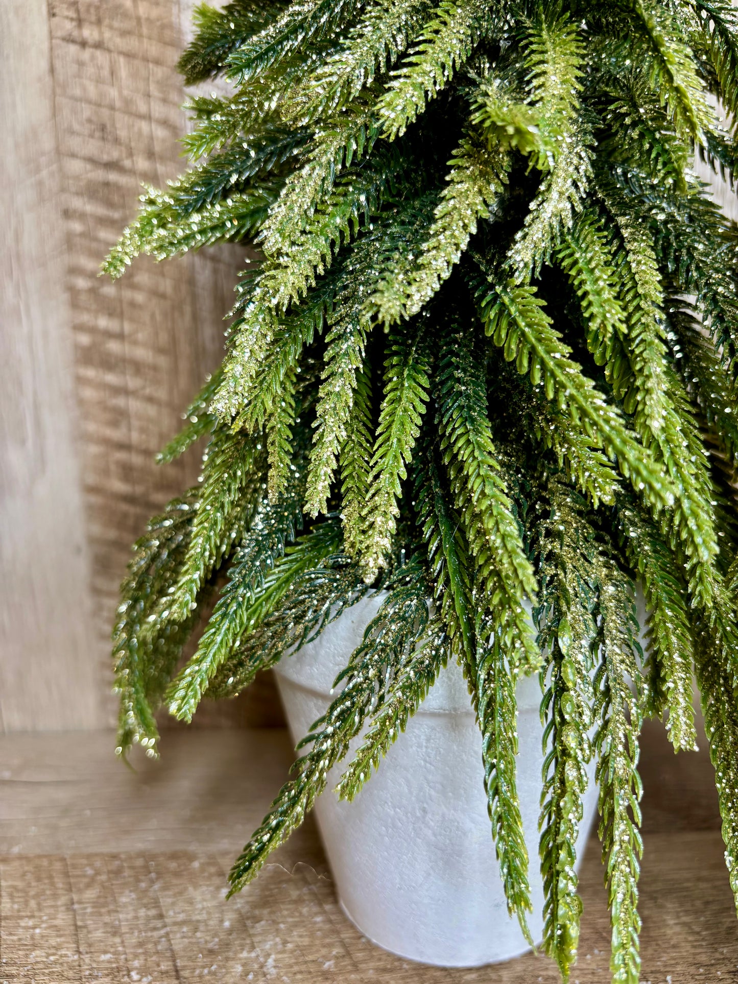 13" GOLD DUSTED TREE IN POT