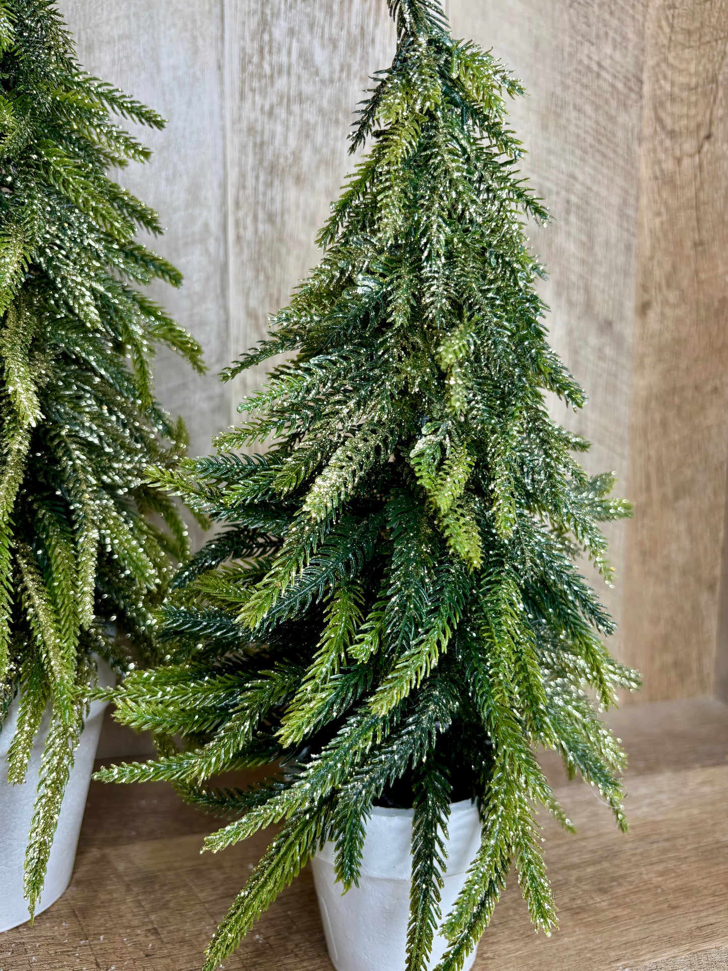 13" GOLD DUSTED TREE IN POT