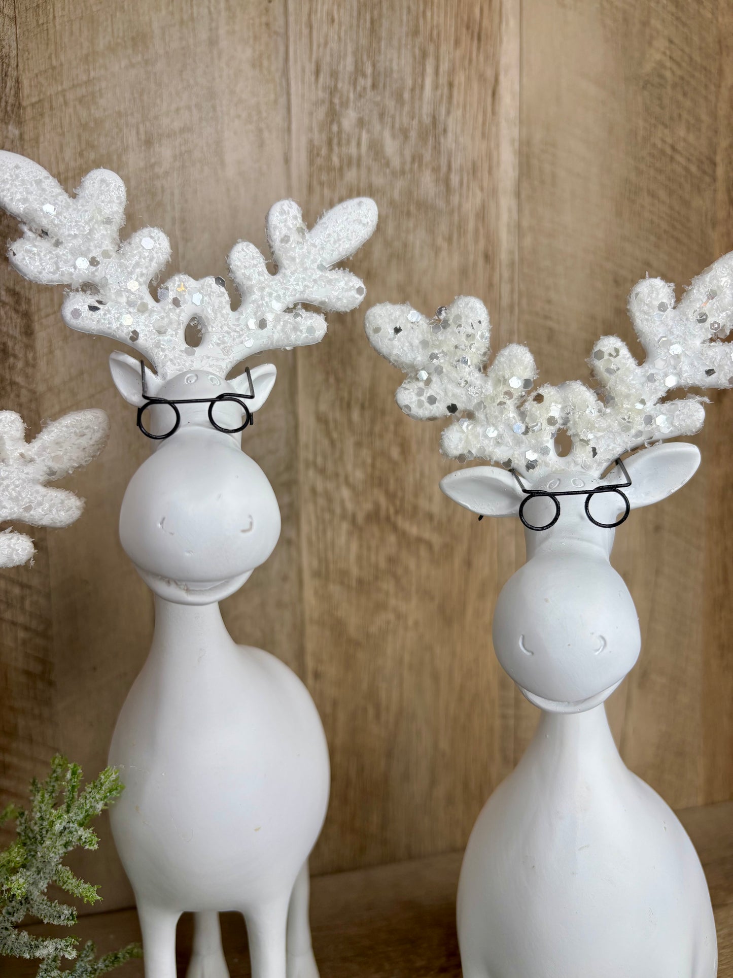 12" Moose with Glasses