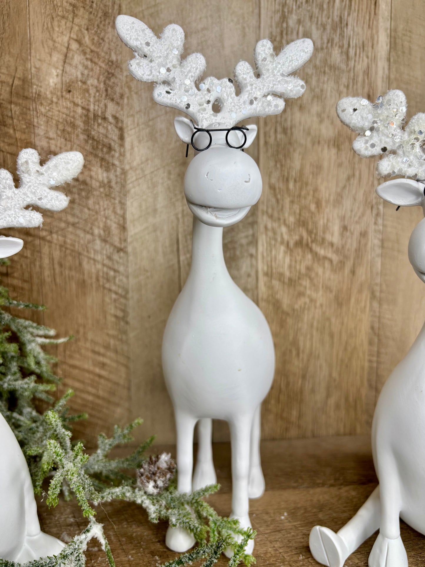 12" Moose with Glasses