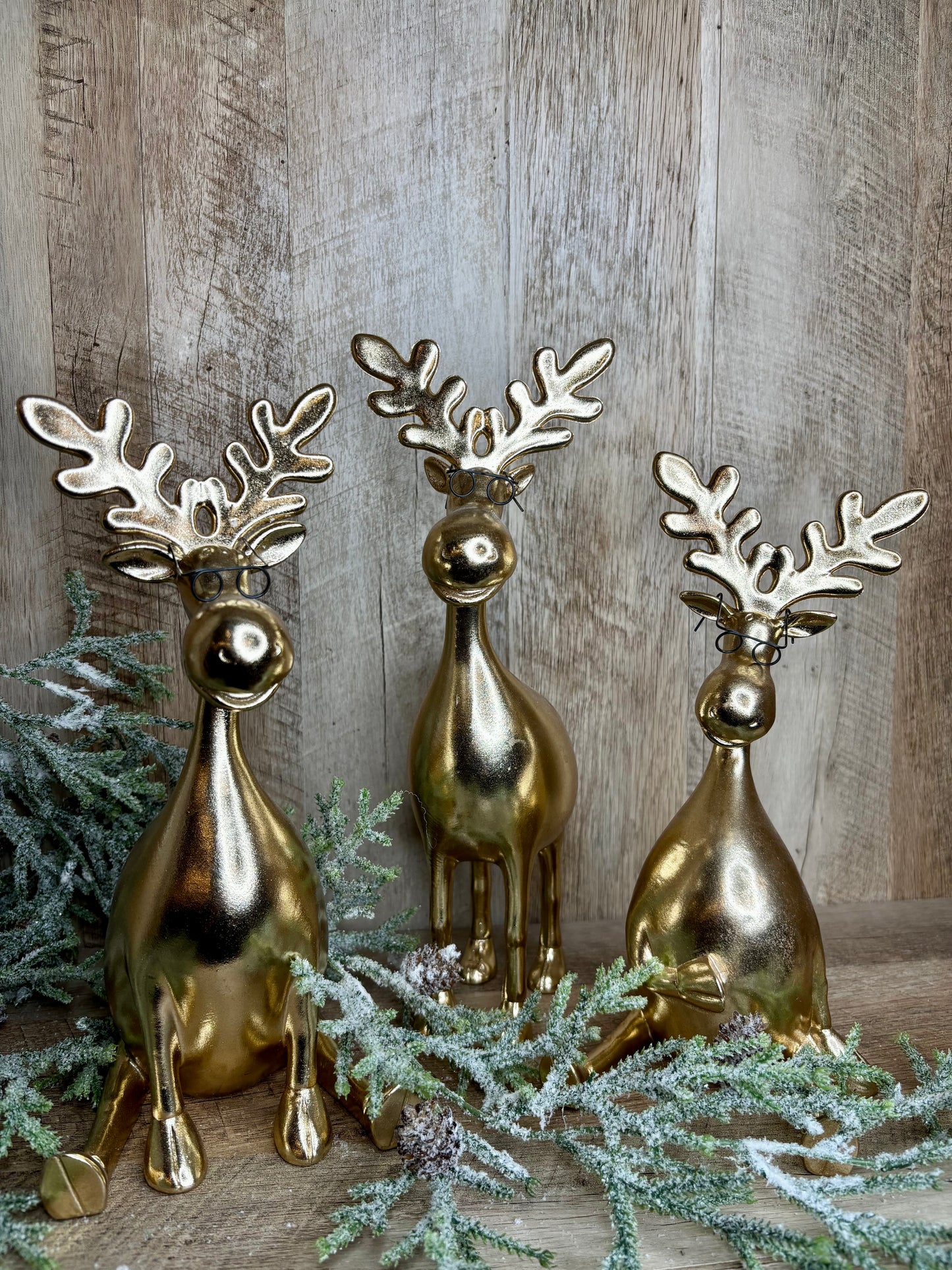 Gold Moose with Glasses