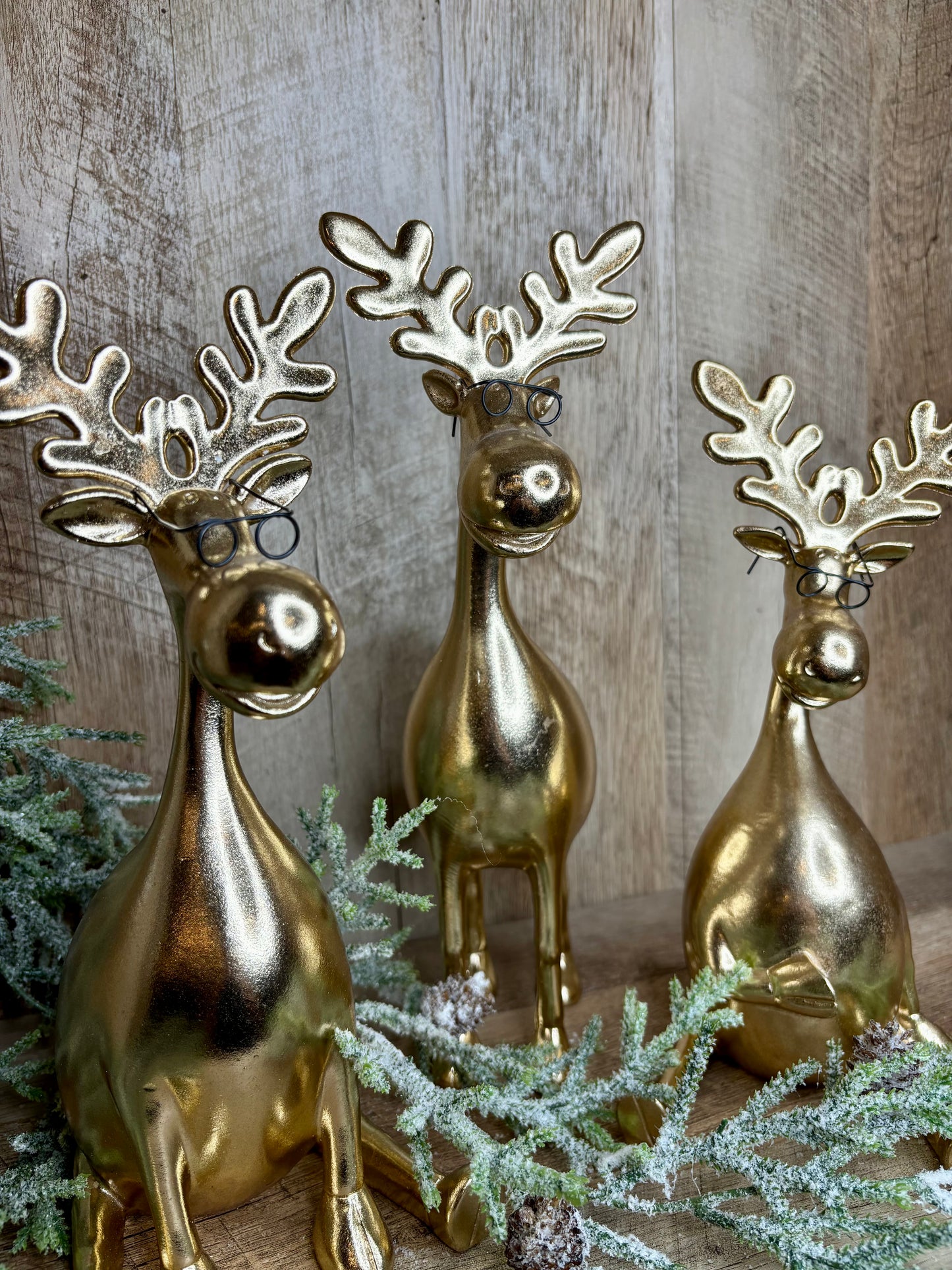 Gold Moose with Glasses