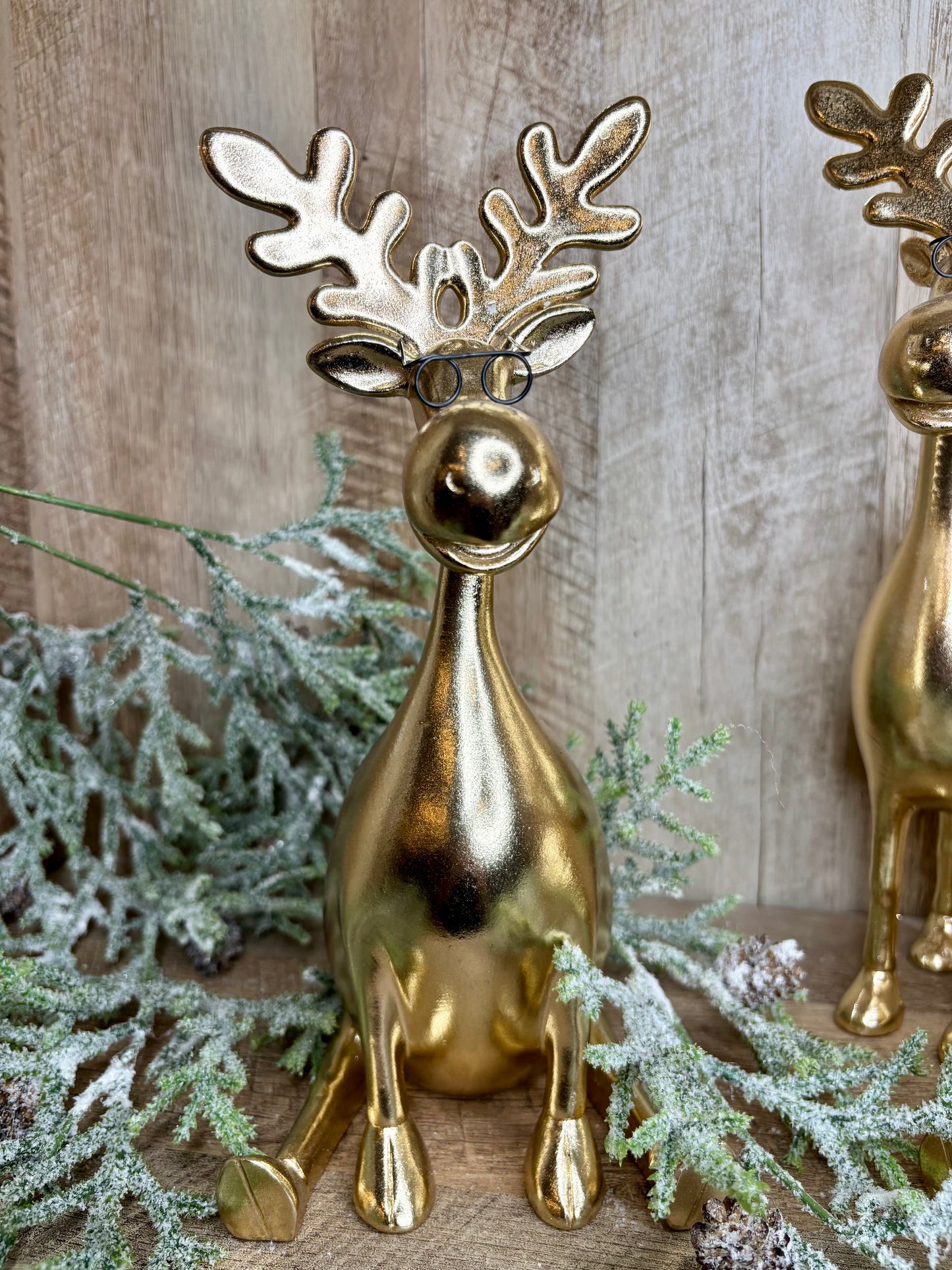 Gold Moose with Glasses