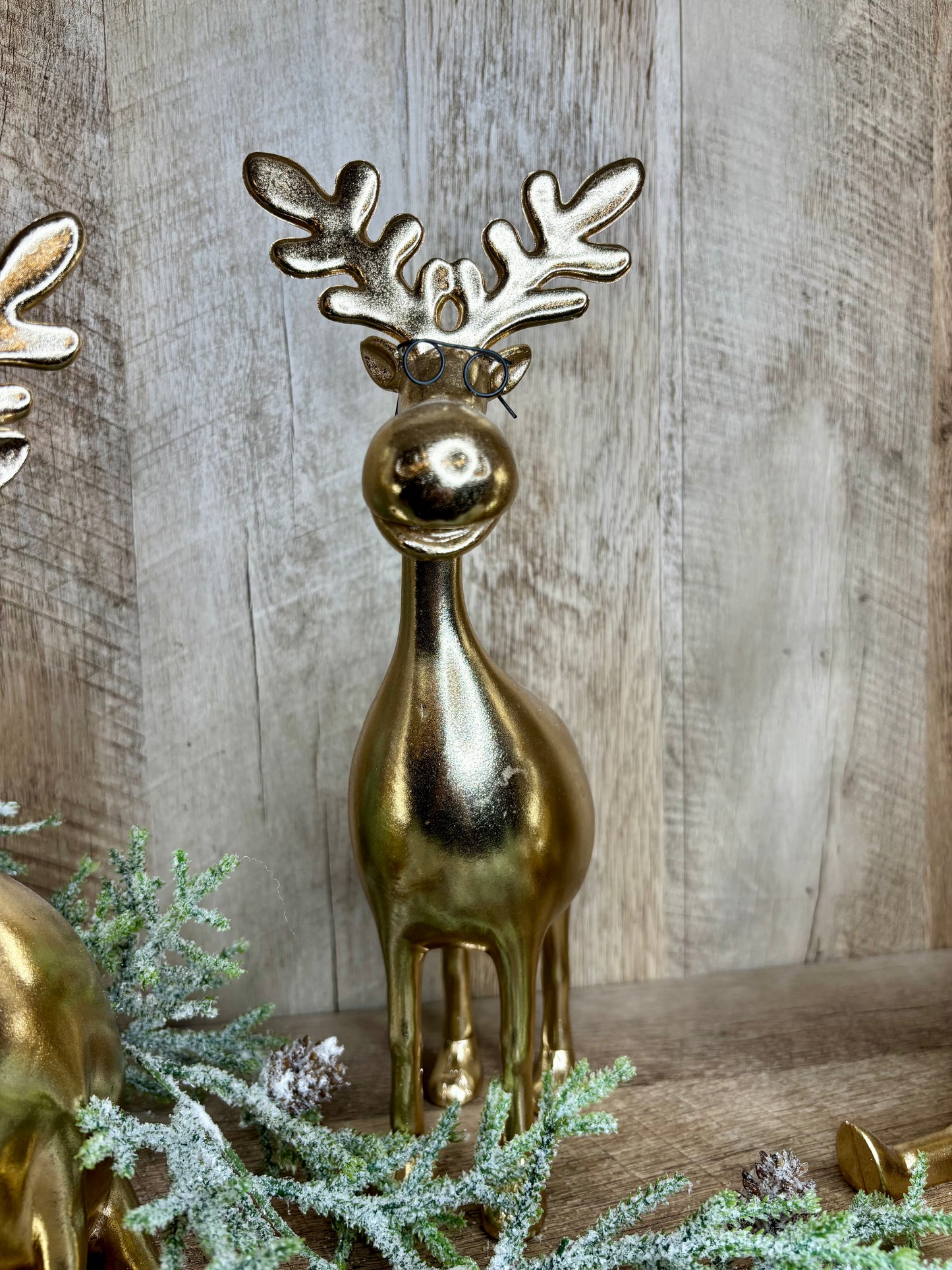 Gold Moose with Glasses