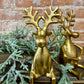 GOLD SITTING SHELF EDGE REINDEER