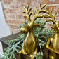 GOLD SITTING SHELF EDGE REINDEER