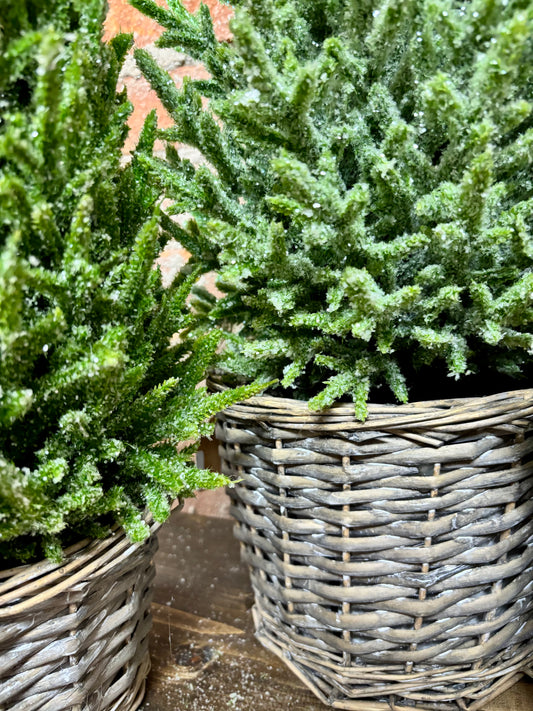 16" GLITTER TOPIARY IN BASKET