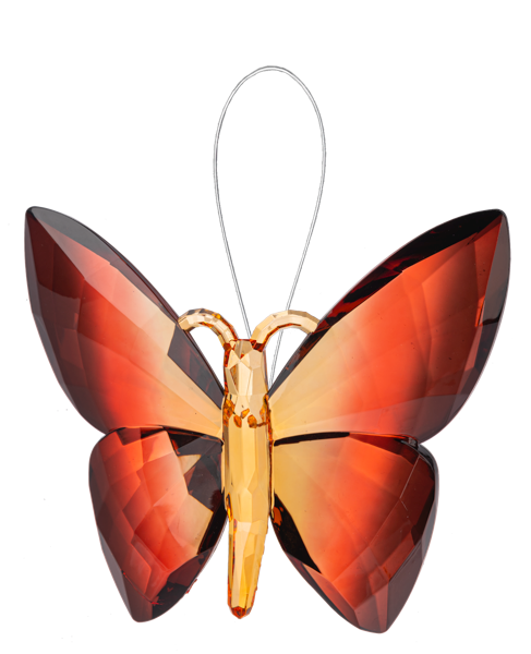 Autumn Butterfly