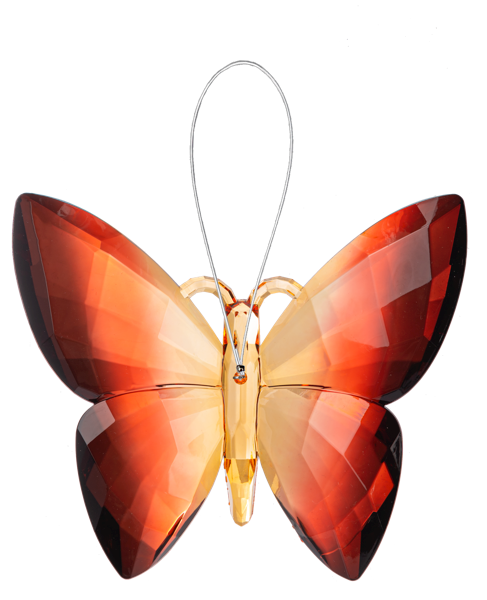 Autumn Butterfly