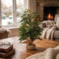 Pine Tree With Burlap Base