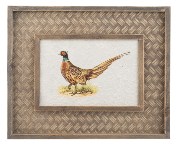 Pheasant Wall Decor