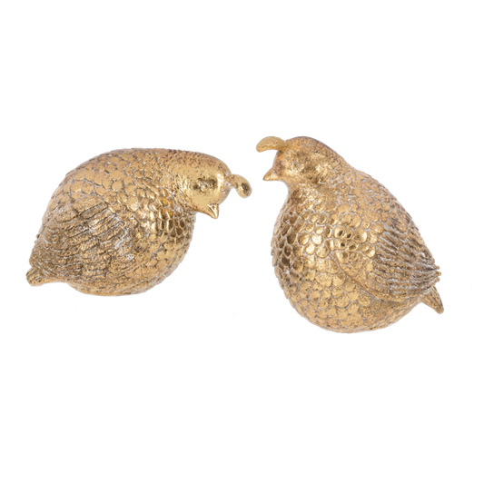 Gold Partridge