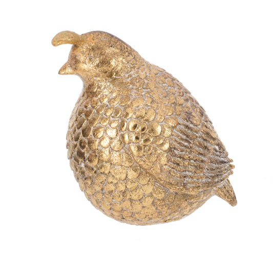 Gold Partridge