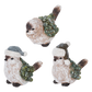 Winter Birds