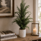 Wild Cypress Tree