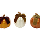 Pumpkin w/ Bow