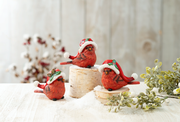Cardinal with Santa Hat