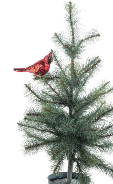 Cardinal Clip Ornament