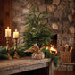 Pine Tree With Burlap Base