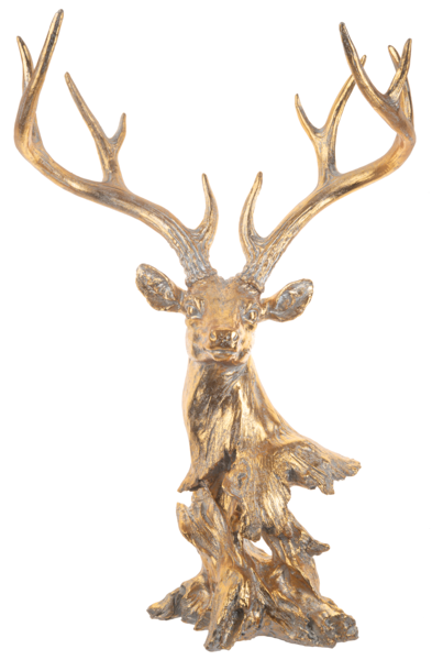 Stag Head