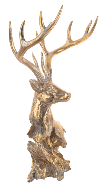 Stag Head