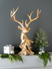 Stag Head